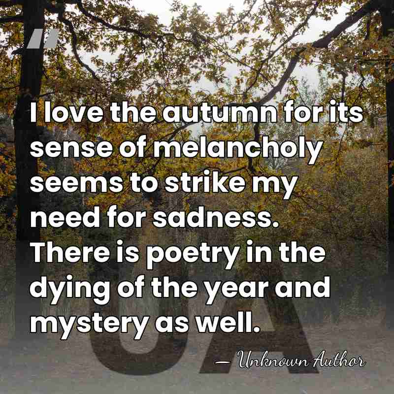 I love the autumn for its sense of melancholy seems to strike&hellip; - Unknown Author