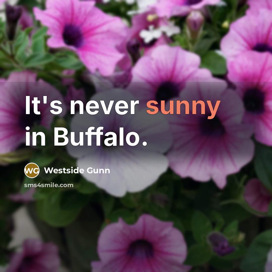 “It's never sunny in Buffalo.…” quote by Westside Gunn