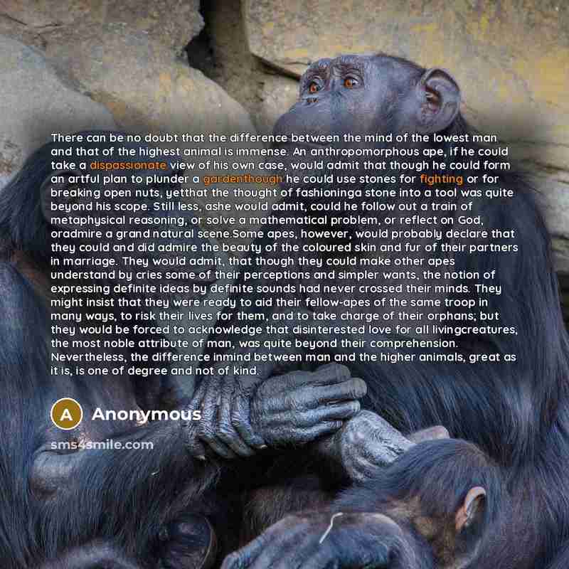 “There can be no doubt that the difference between the mind of the lowest man and that of the highest animal is immense. An anthropomorphous ape, if he could take a dispassionate view of his own case, would admit that though he could form an artful plan to plunder a gardenthough he could use stones…” quote by Anonymous