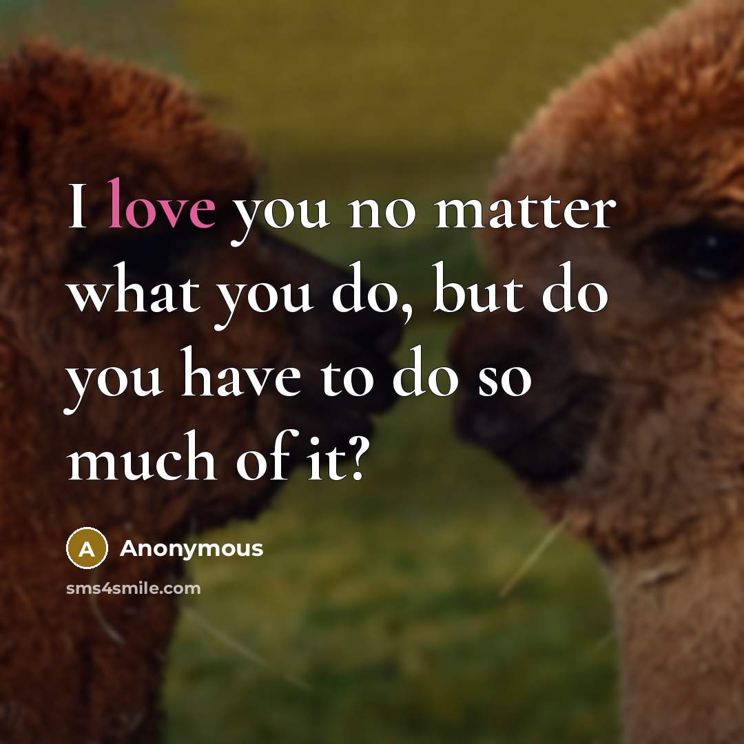 “I love you no matter what you do, but do…” quote by Anonymous