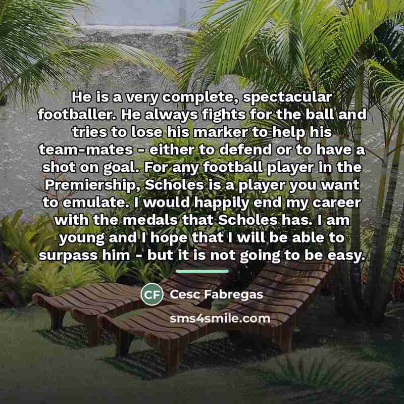 “He is a very complete, spectacular footballer. He always fights…” quote by Cesc Fabregas