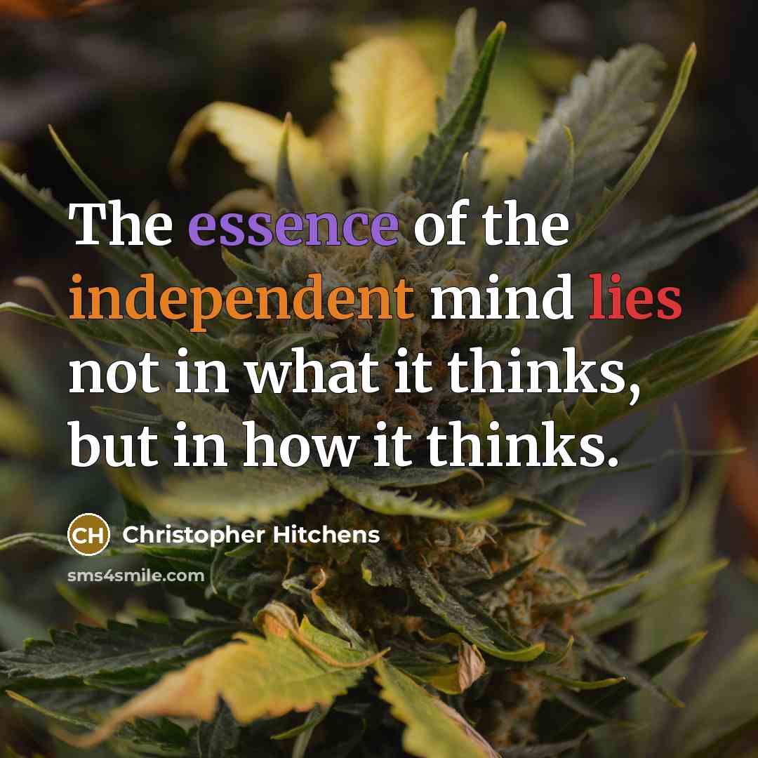 “The essence of the independent mind lies not in what…” quote by Christopher Hitchens
