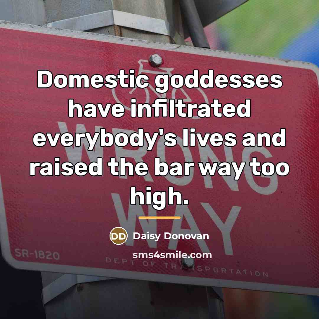“Domestic goddesses have infiltrated everybody's lives and raised the bar…” quote by Daisy Donovan