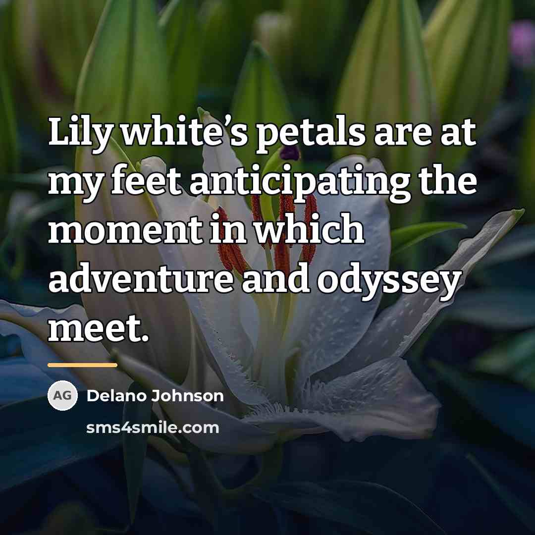 “Lily white’s petals are at my feet anticipating the moment…” quote by Delano Johnson
