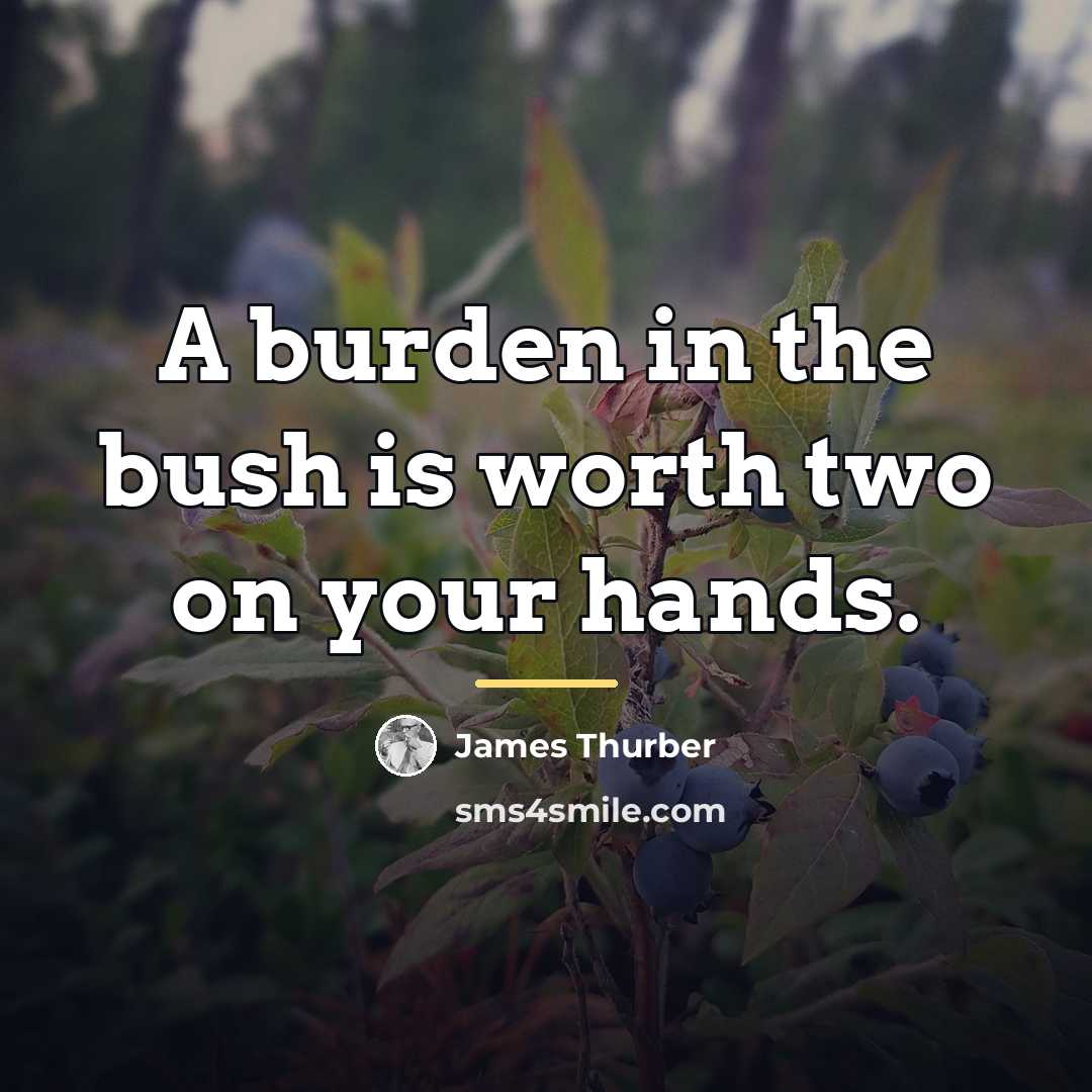 “A burden in the bush is worth two on your…” quote by James Thurber