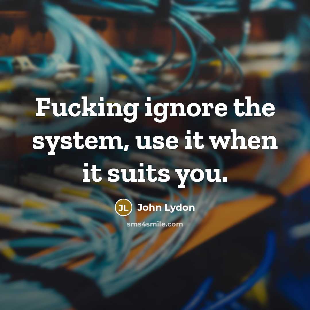 “Fucking ignore the system, use it when it suits you.” quote by John Lydon