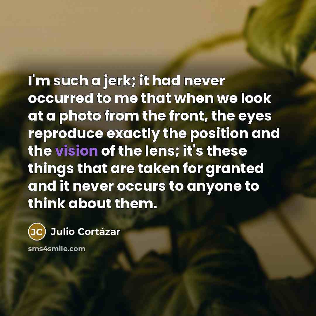 “I'm such a jerk; it had never occurred to me…” quote by Julio Cortazar