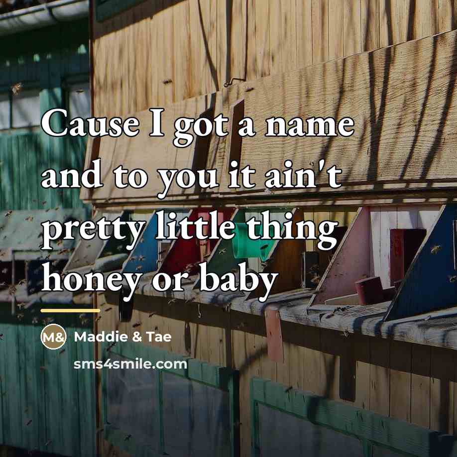 “Cause I got a name and to you it ain't…” quote by Maddie & Tae
