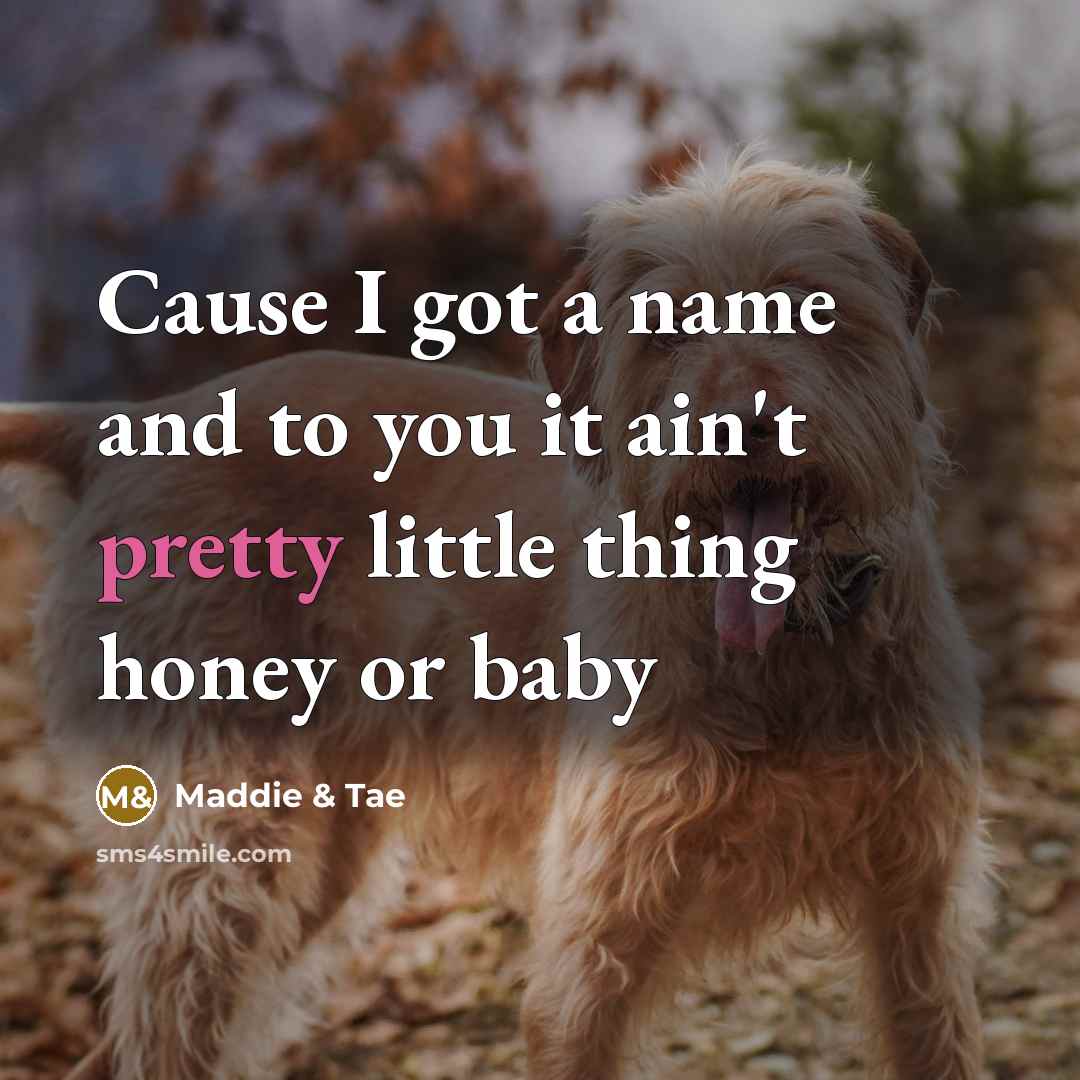 “Cause I got a name and to you it ain't pretty little thing honey or baby” quote by Maddie & Tae