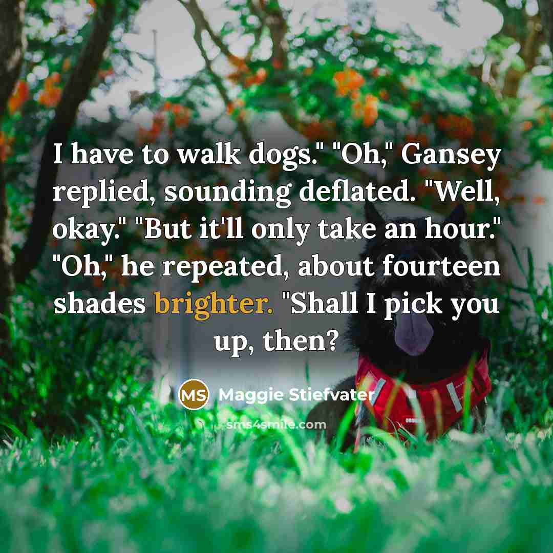 “I have to walk dogs." "Oh," Gansey replied, sounding deflated. "Well, okay." "But it'll only take an hour." "Oh," he repeated, about fourteen shades brighter. "Shall I pick you up, then?” quote by Maggie Stiefvater
