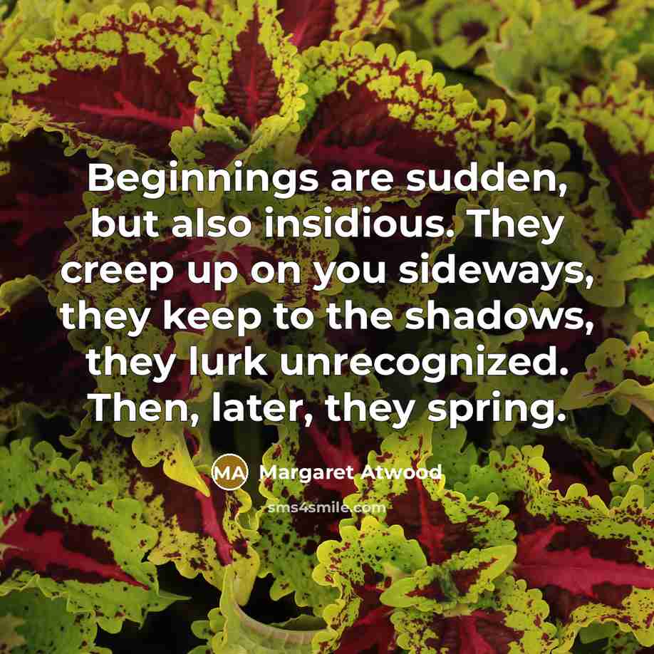 “Beginnings are sudden, but also insidious. They creep up on…” quote by Margaret Atwood