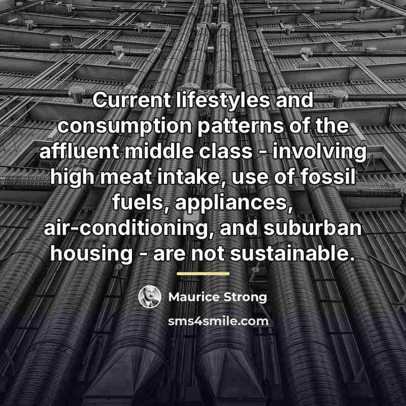 “Current lifestyles and consumption patterns of the affluent middle class…” quote by Maurice Strong