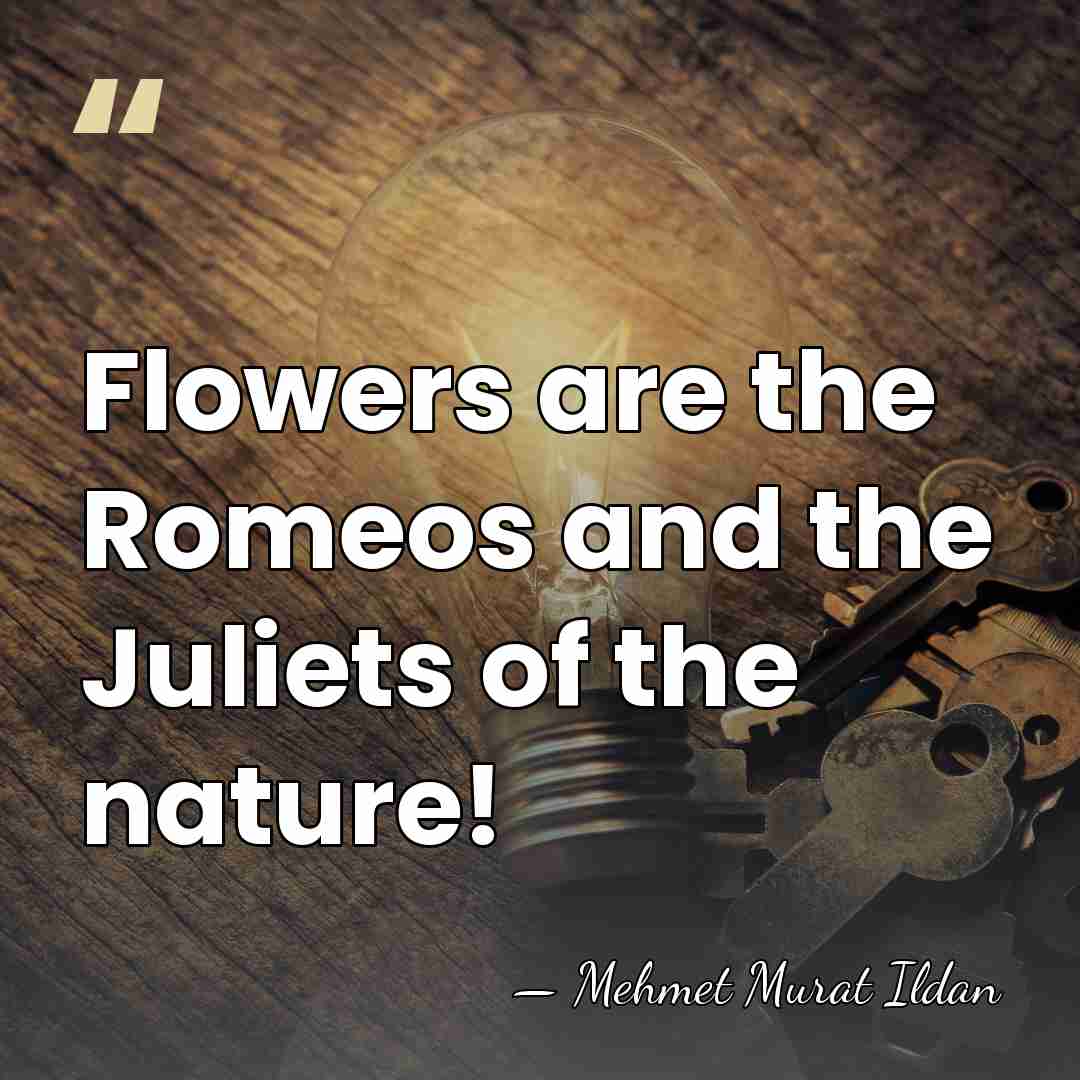 Flowers are the Romeos and the Juliets of the nature! - Mehmet Murat Ildan