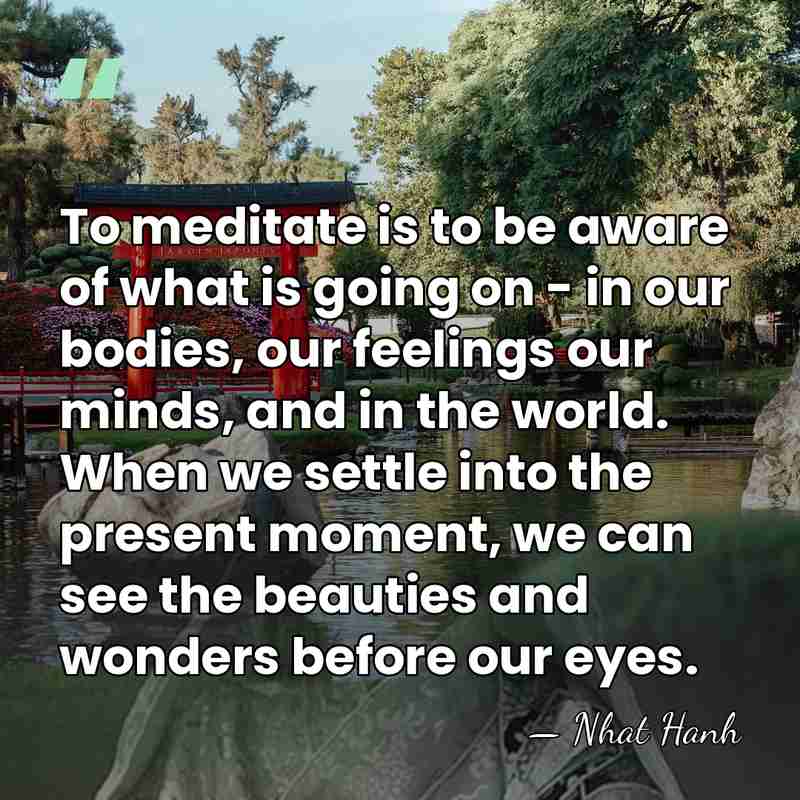 To meditate is to be aware of what is going on -&hellip; - Nhat Hanh
