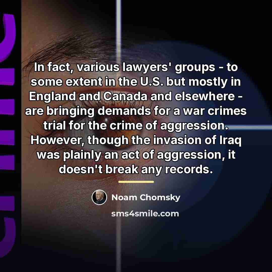 “In fact, various lawyers' groups - to some extent in…” quote by Noam Chomsky