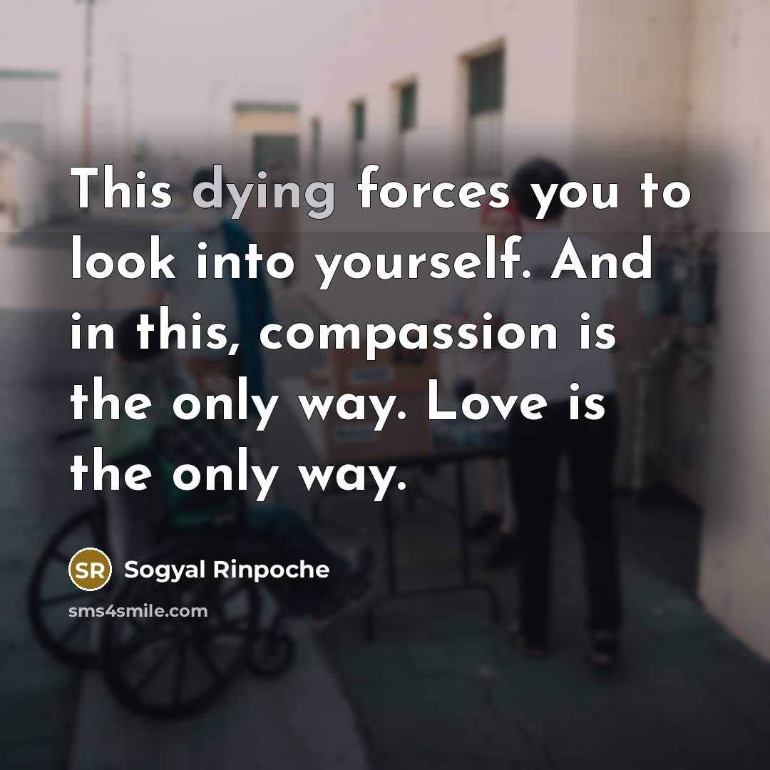 “This dying forces you to look into yourself. And in…” quote by Sogyal Rinpoche