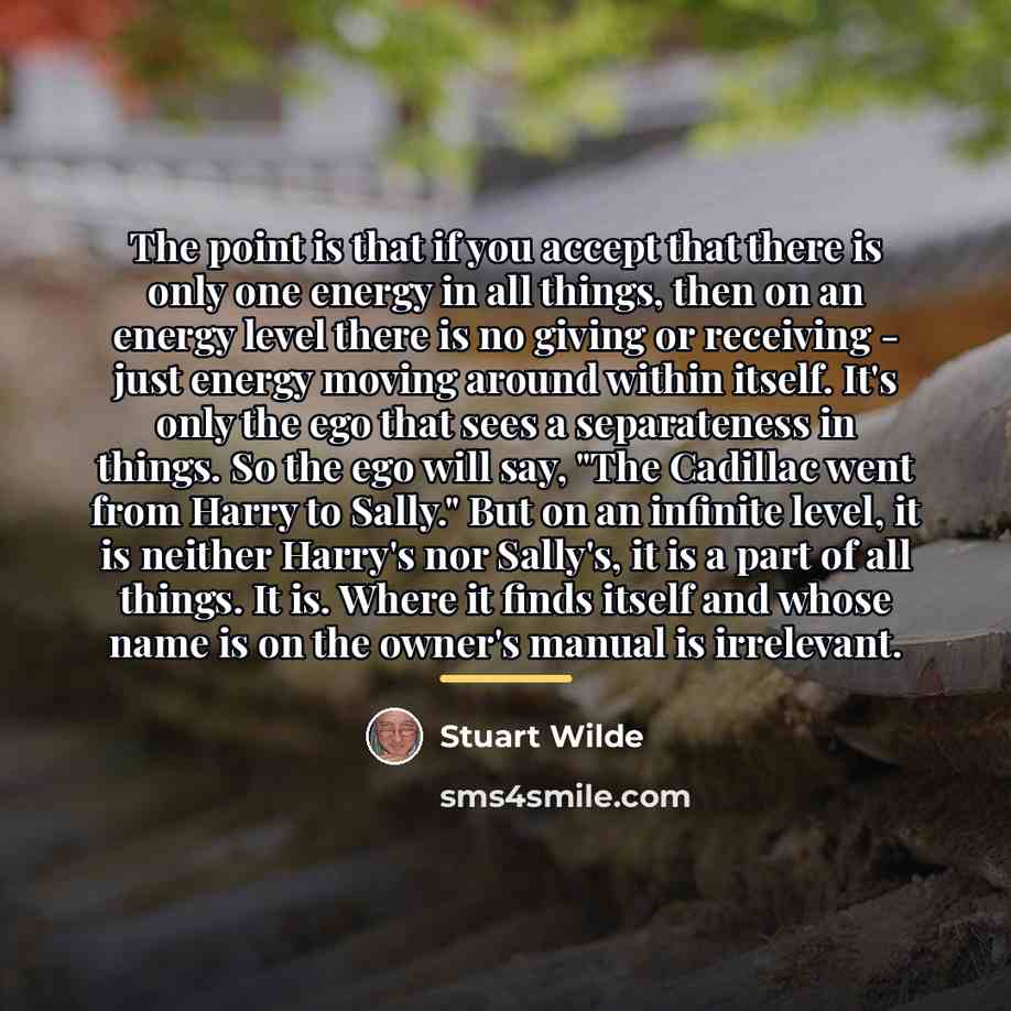 “The point is that if you accept that there is…” quote by Stuart Wilde