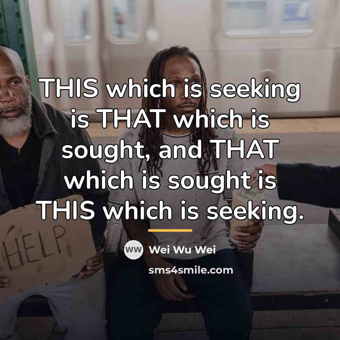 “THIS which is seeking is THAT which is sought, and…” quote by Wei Wu Wei