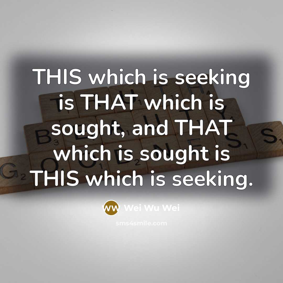 “THIS which is seeking is THAT which is sought, and THAT which is sought is THIS which is seeking.” quote by Wei Wu Wei