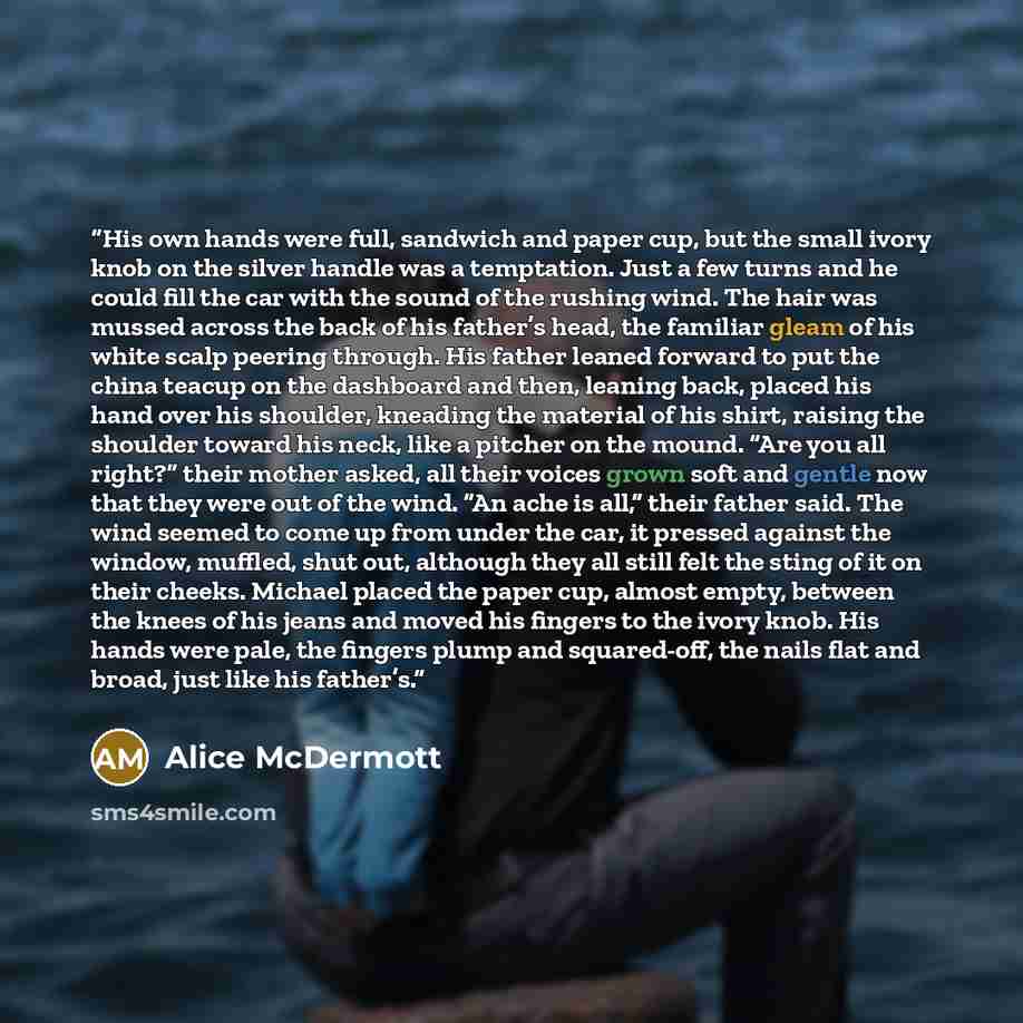 “His own hands were full, sandwich and paper cup, but the small ivory knob on the silver handle was a temptation. Just a few turns and he could fill the car with the sound of the rushing wind. The hair was mussed across the back of his father’s head, the familiar gleam of his white scalp peering…” quote by Alice McDermott