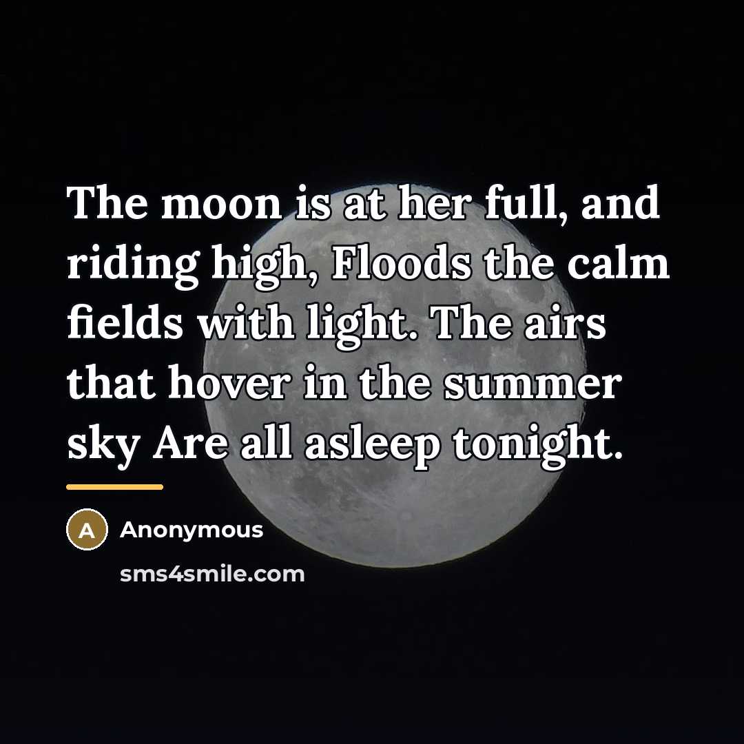 “The moon is at her full, and riding high, Floods…” quote by Anonymous