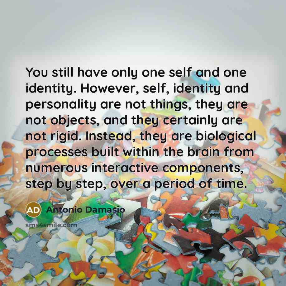 “You still have only one self and one identity. However,…” quote by Antonio Damasio