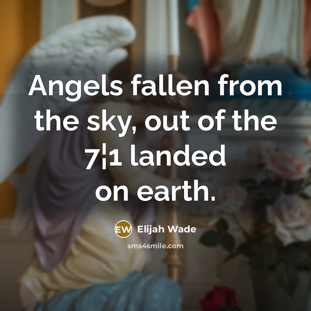 “Angels fallen from the sky, out of the 7¦1 landed…” quote by Elijah Wade