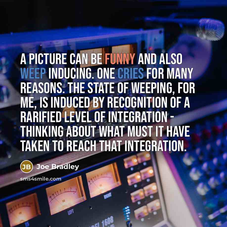 “A picture can be funny and also weep inducing. One cries for many reasons. The state of weeping, for me, is induced by recognition of a rarified level of integration - thinking about what must it have taken to reach that integration.” quote by Joe Bradley