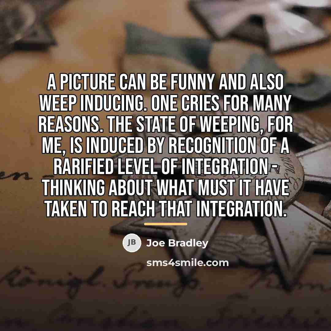 “A picture can be funny and also weep inducing. One…” quote by Joe Bradley
