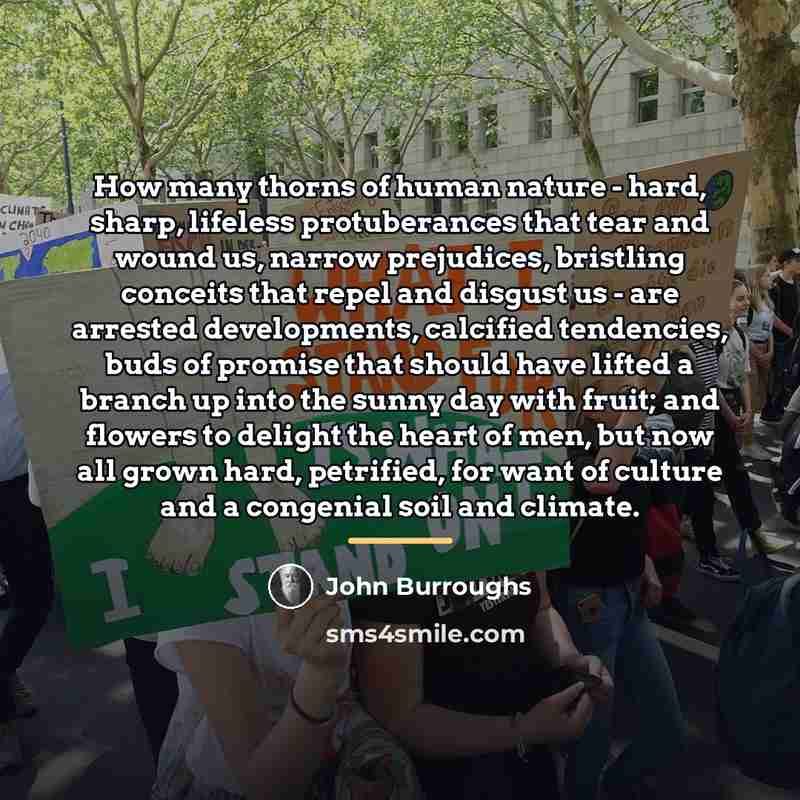 “How many thorns of human nature - hard, sharp, lifeless…” quote by John Burroughs