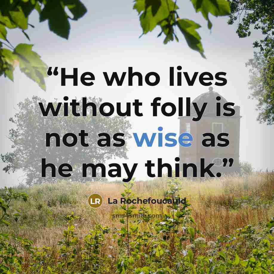 “He who lives without folly is not as wise as he may think.” quote by La Rochefoucauld