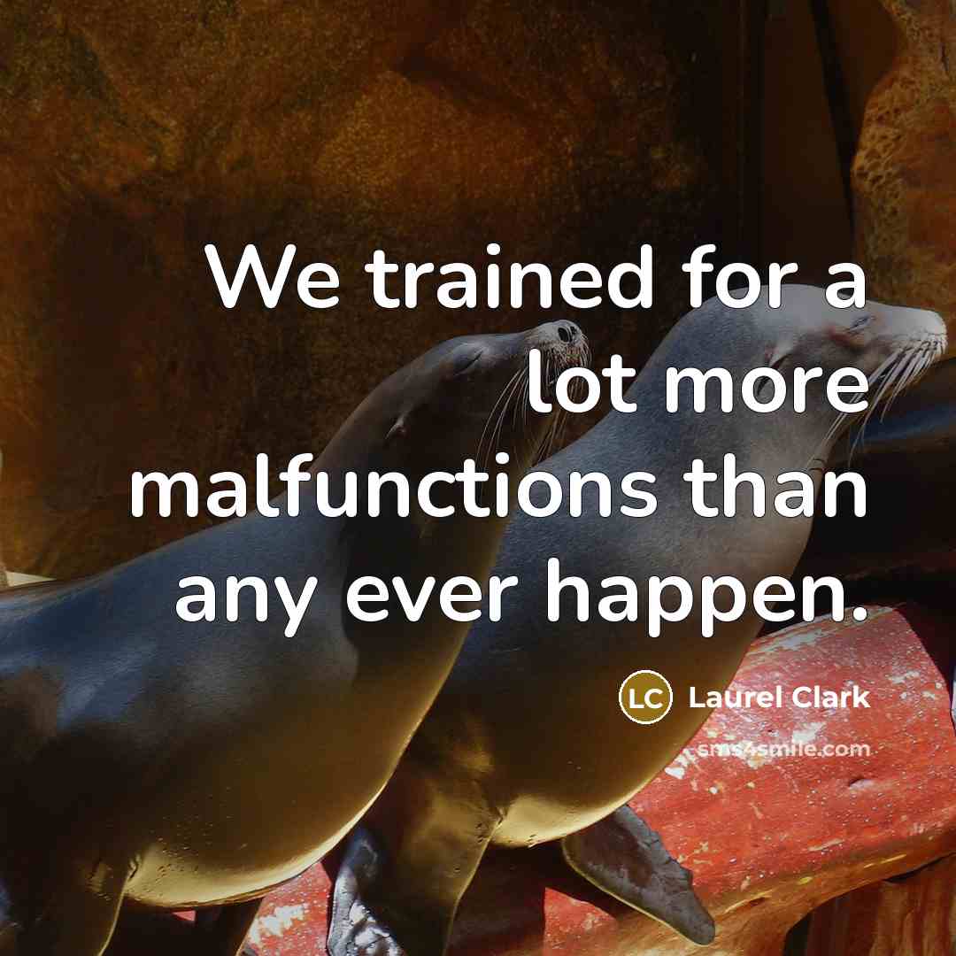 “We trained for a lot more malfunctions than any ever…” quote by Laurel Clark