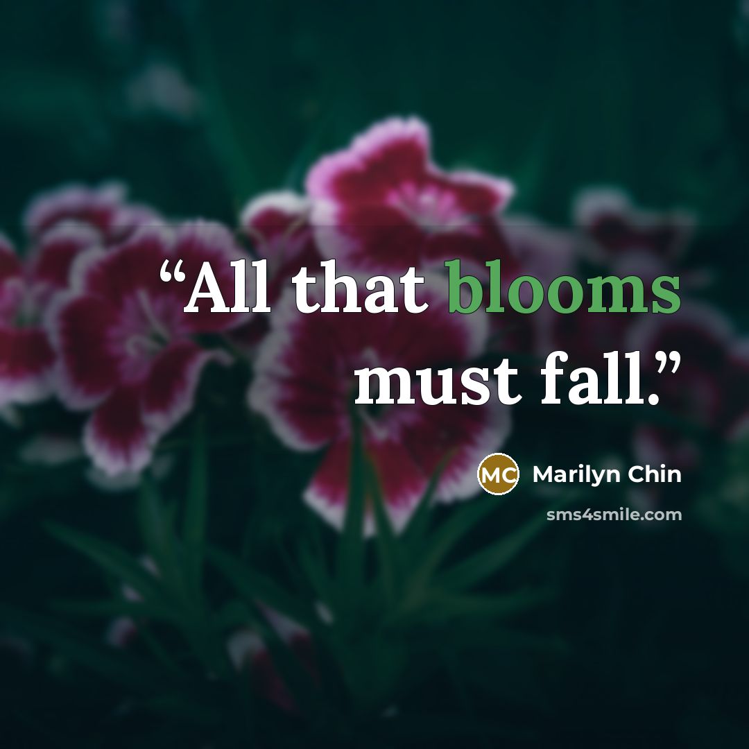 “All that blooms must fall.” quote by Marilyn Chin