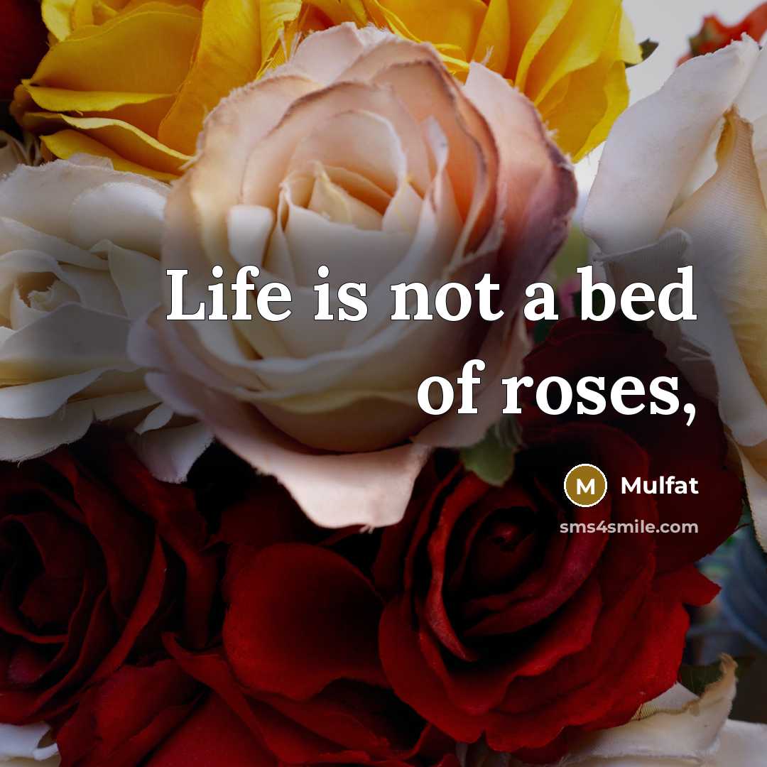 “Life is not a bed of roses,…” quote by Mulfat