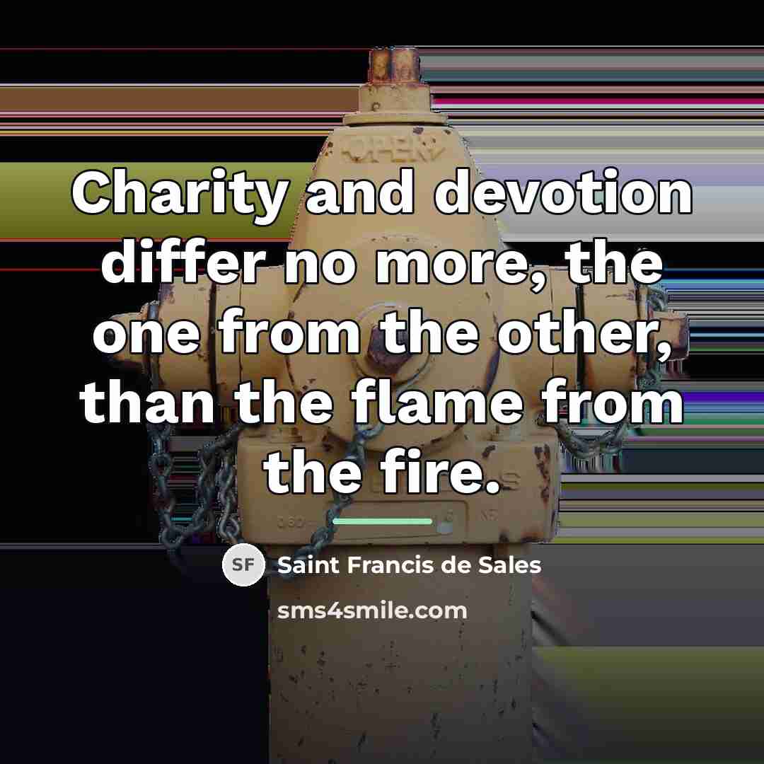 “Charity and devotion differ no more, the one from the…” quote by Saint Francis de Sales