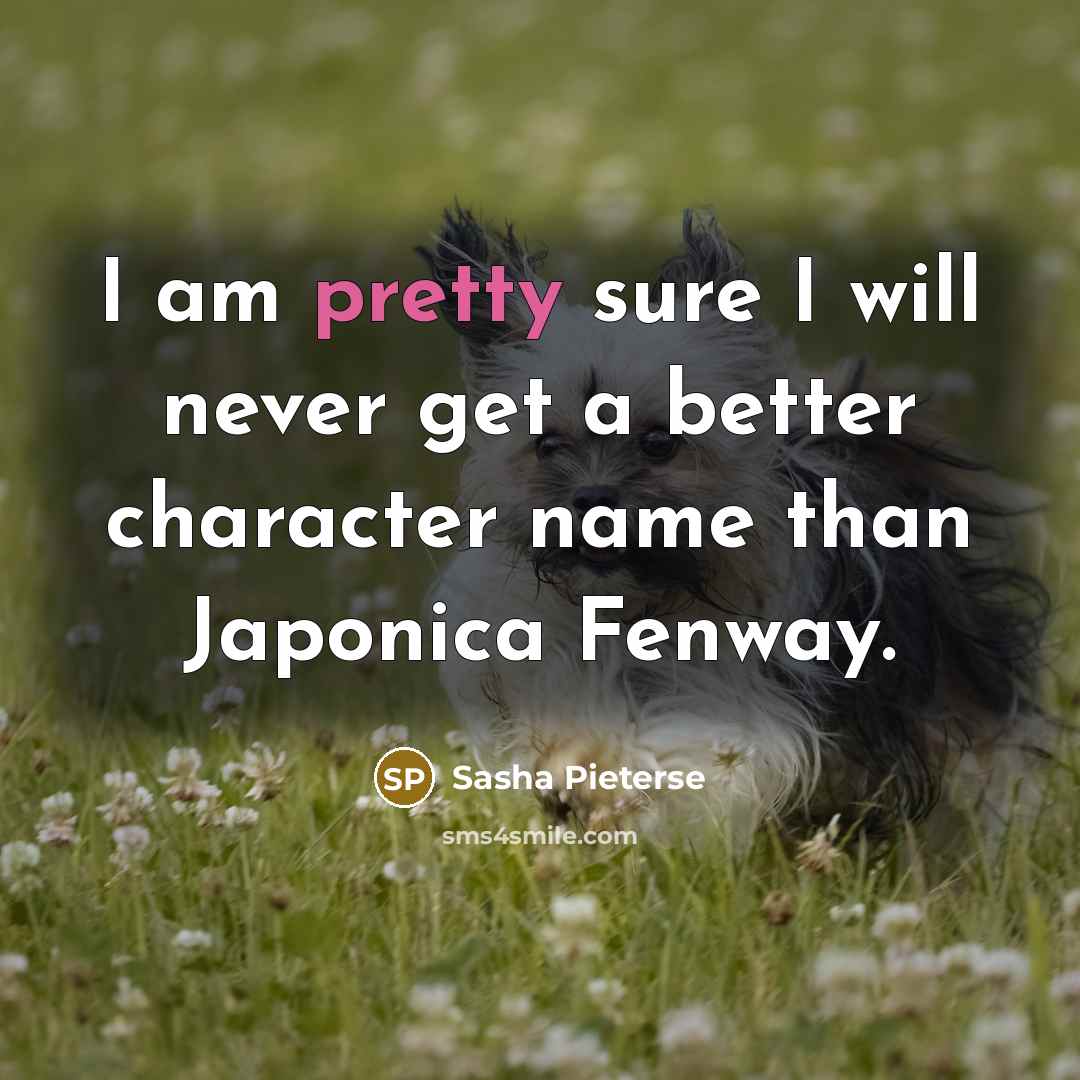 “I am pretty sure I will never get a better…” quote by Sasha Pieterse