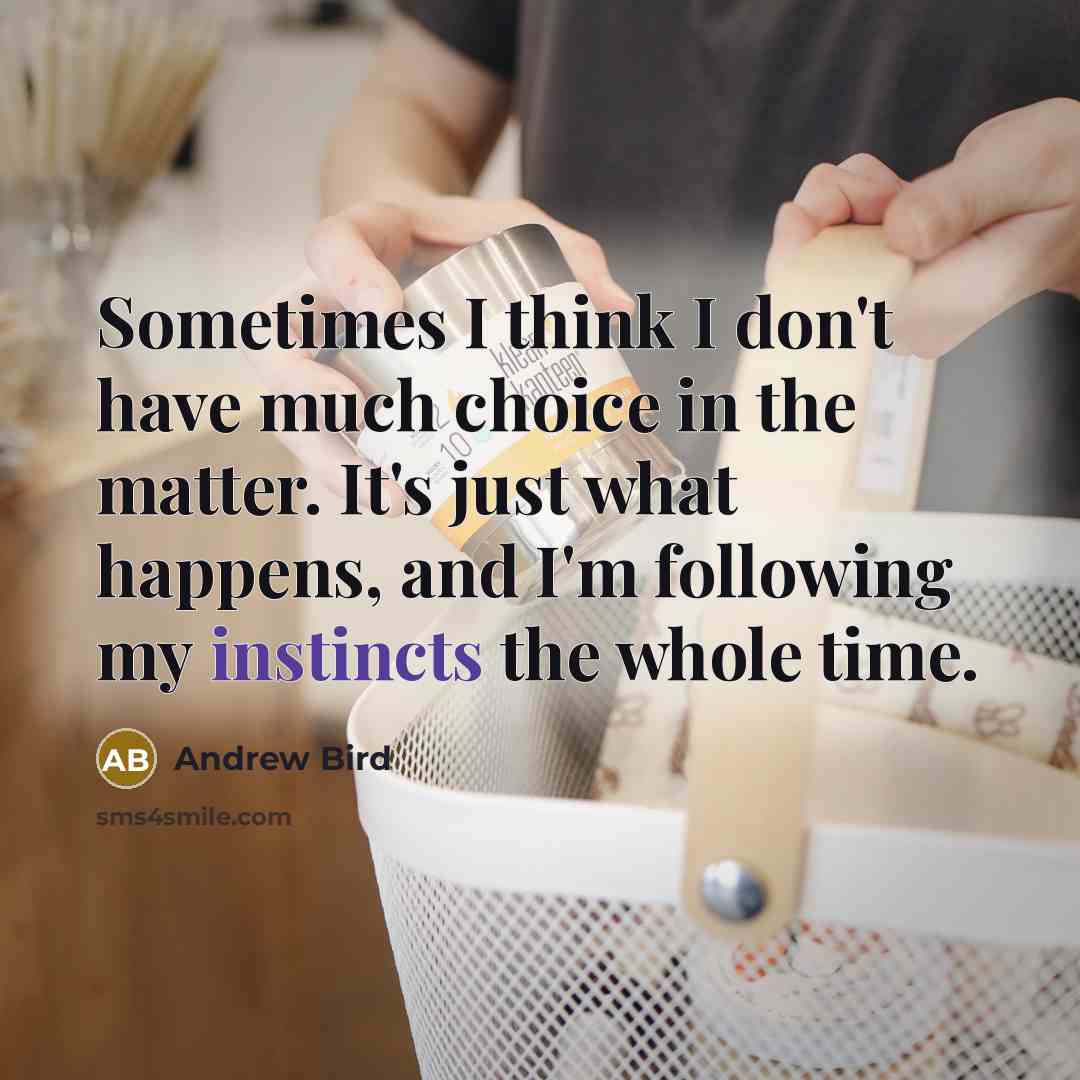 “Sometimes I think I don't have much choice in the matter. It's just what happens, and I'm following my instincts the whole time.” quote by Andrew Bird