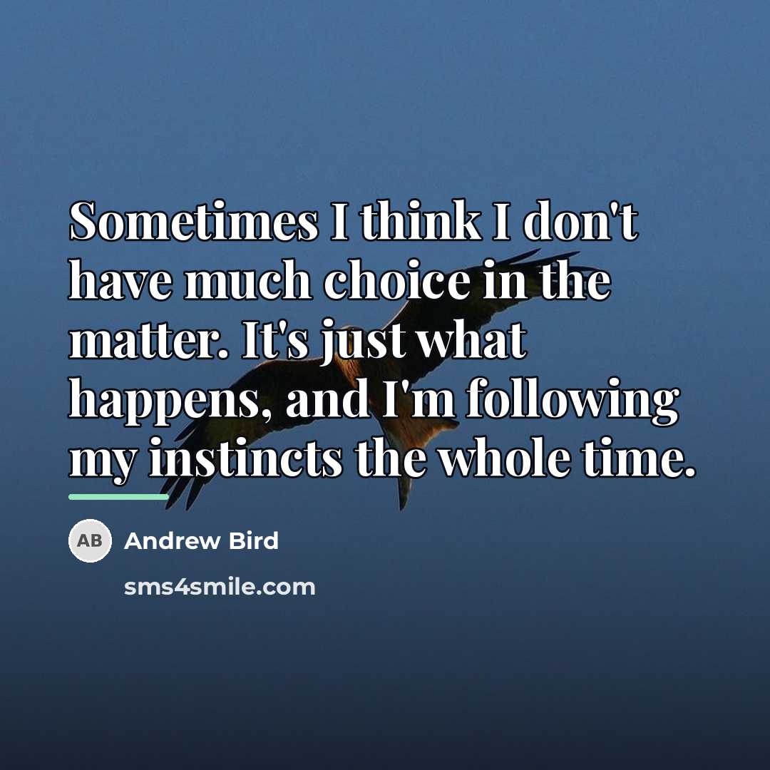 “Sometimes I think I don't have much choice in the…” quote by Andrew Bird