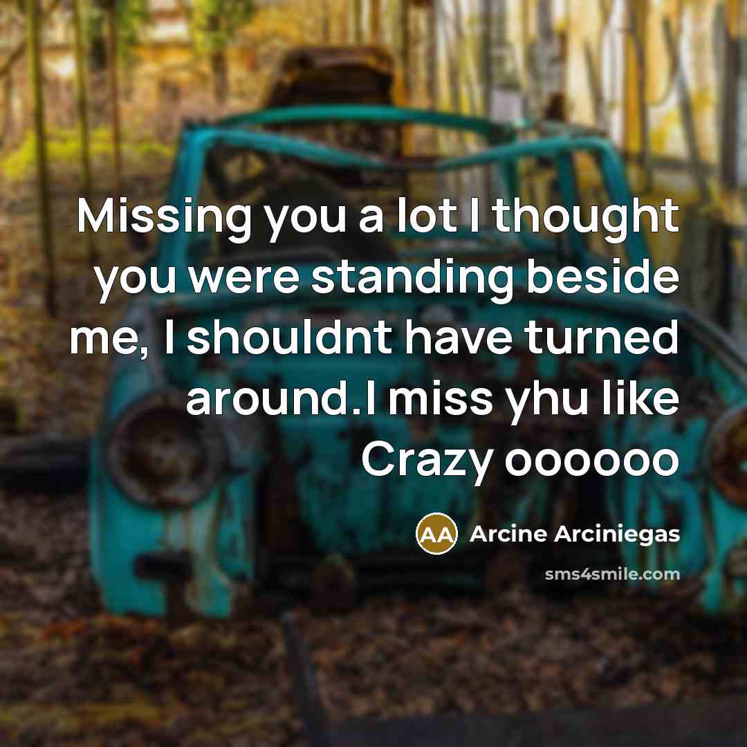 “Missing you a lot I thought you were standing beside…” quote by Arcine Arciniegas