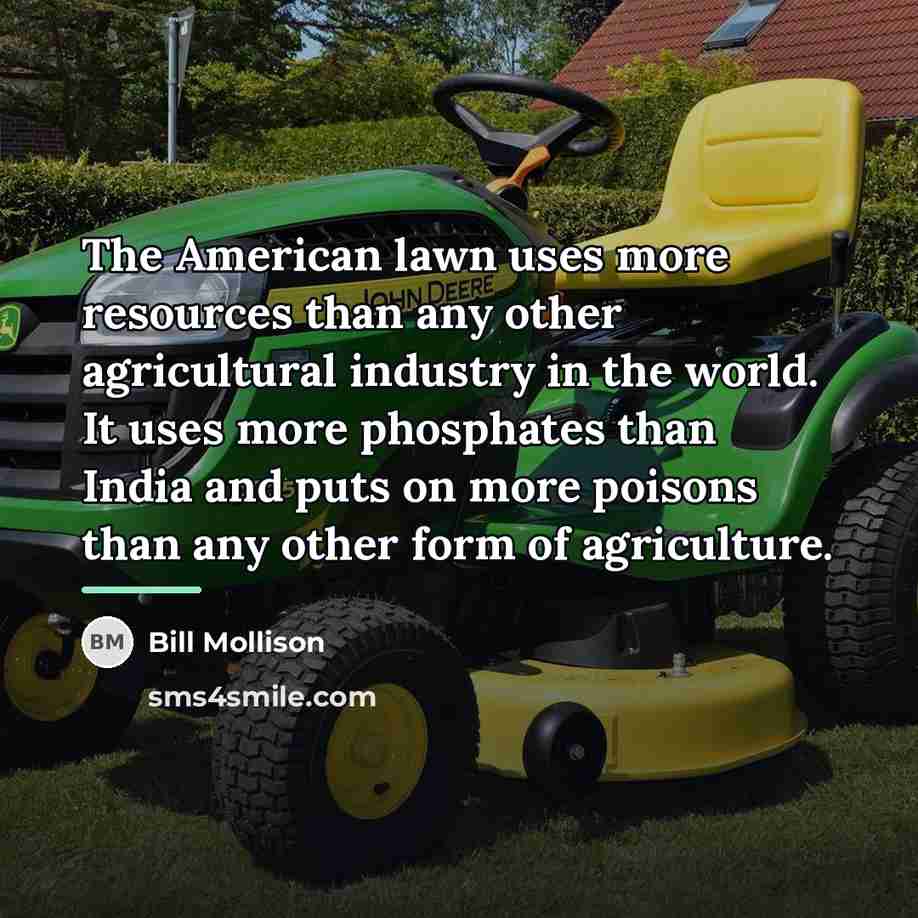 “The American lawn uses more resources than any other agricultural…” quote by Bill Mollison
