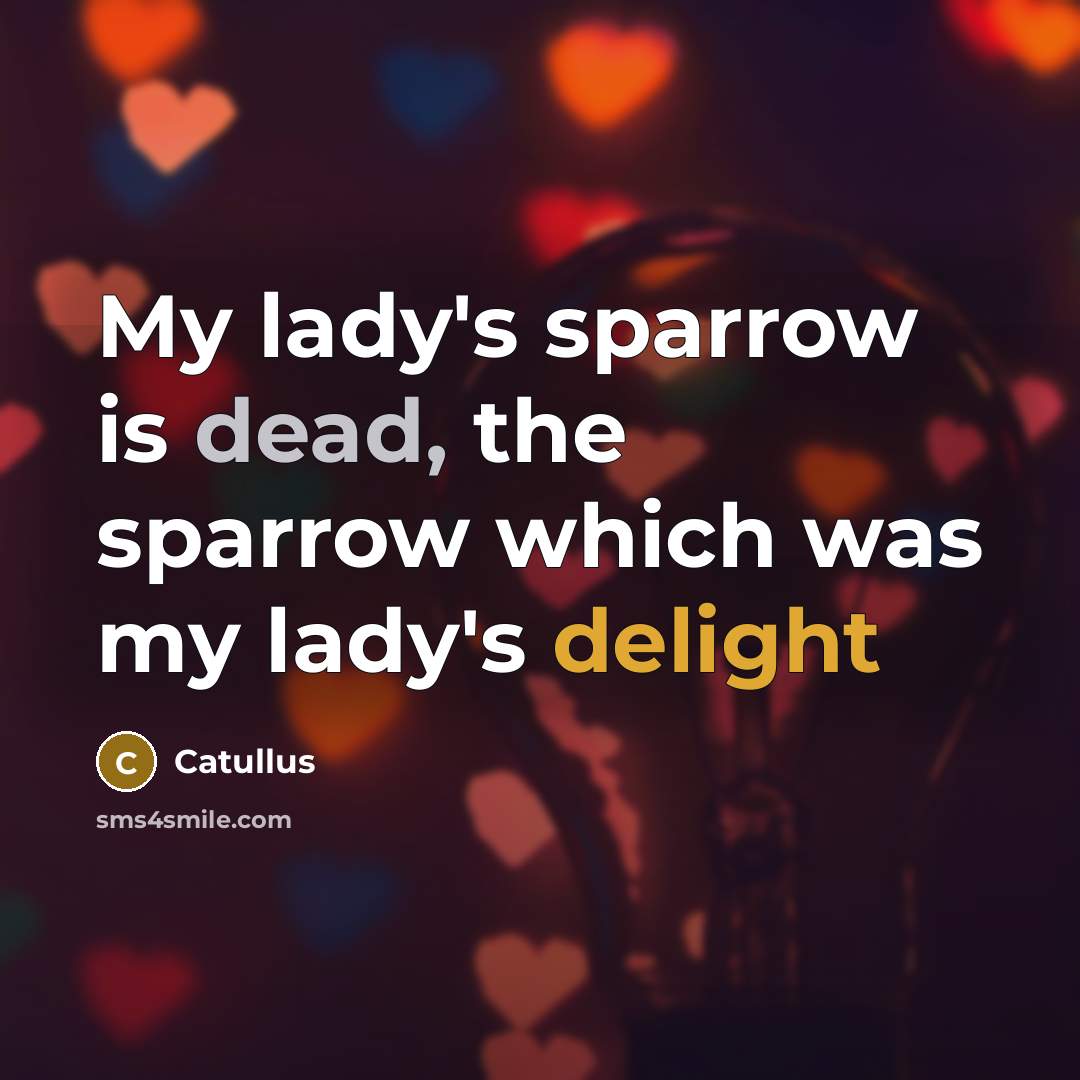 “My lady's sparrow is dead, the sparrow which was my…” quote by Catullus
