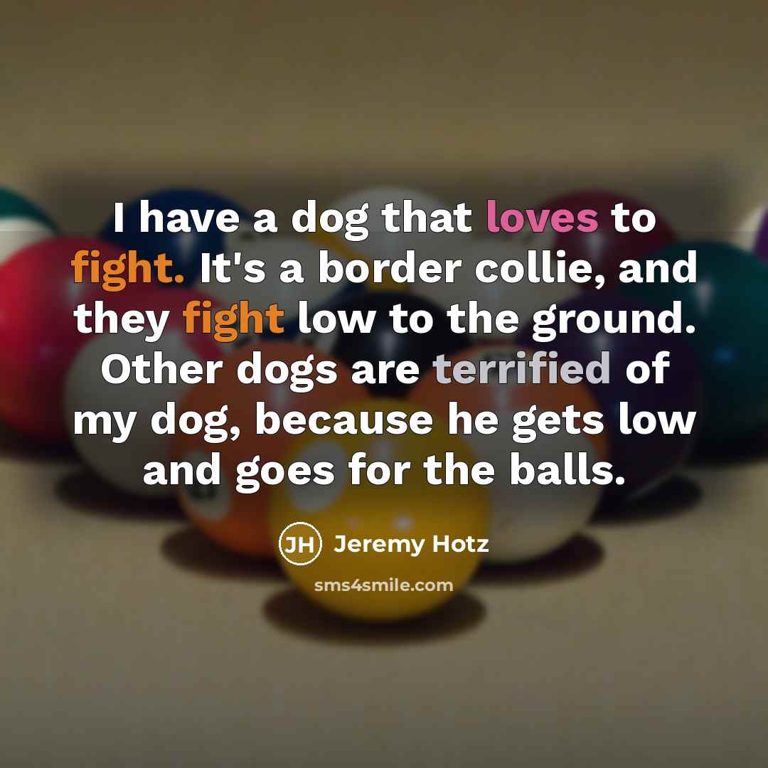 “I have a dog that loves to fight. It's a border collie, and they fight low to the ground. Other dogs are terrified of my dog, because he gets low and goes for the balls.” quote by Jeremy Hotz