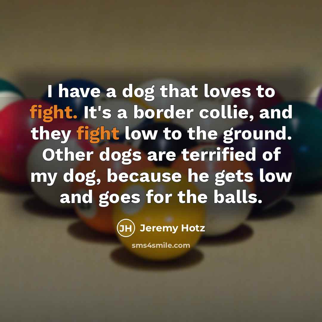 “I have a dog that loves to fight. It's a…” quote by Jeremy Hotz