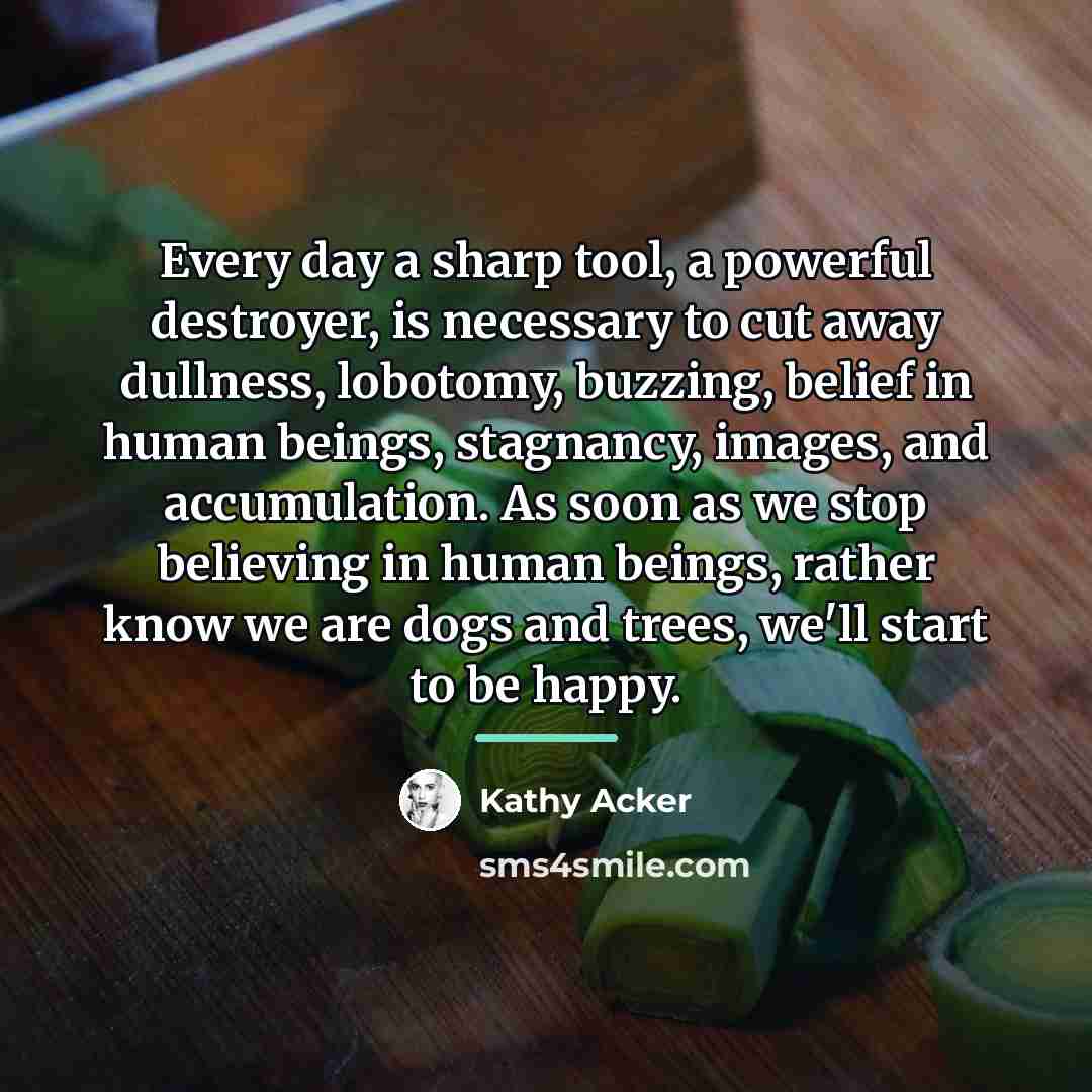 “Every day a sharp tool, a powerful destroyer, is necessary…” quote by Kathy Acker