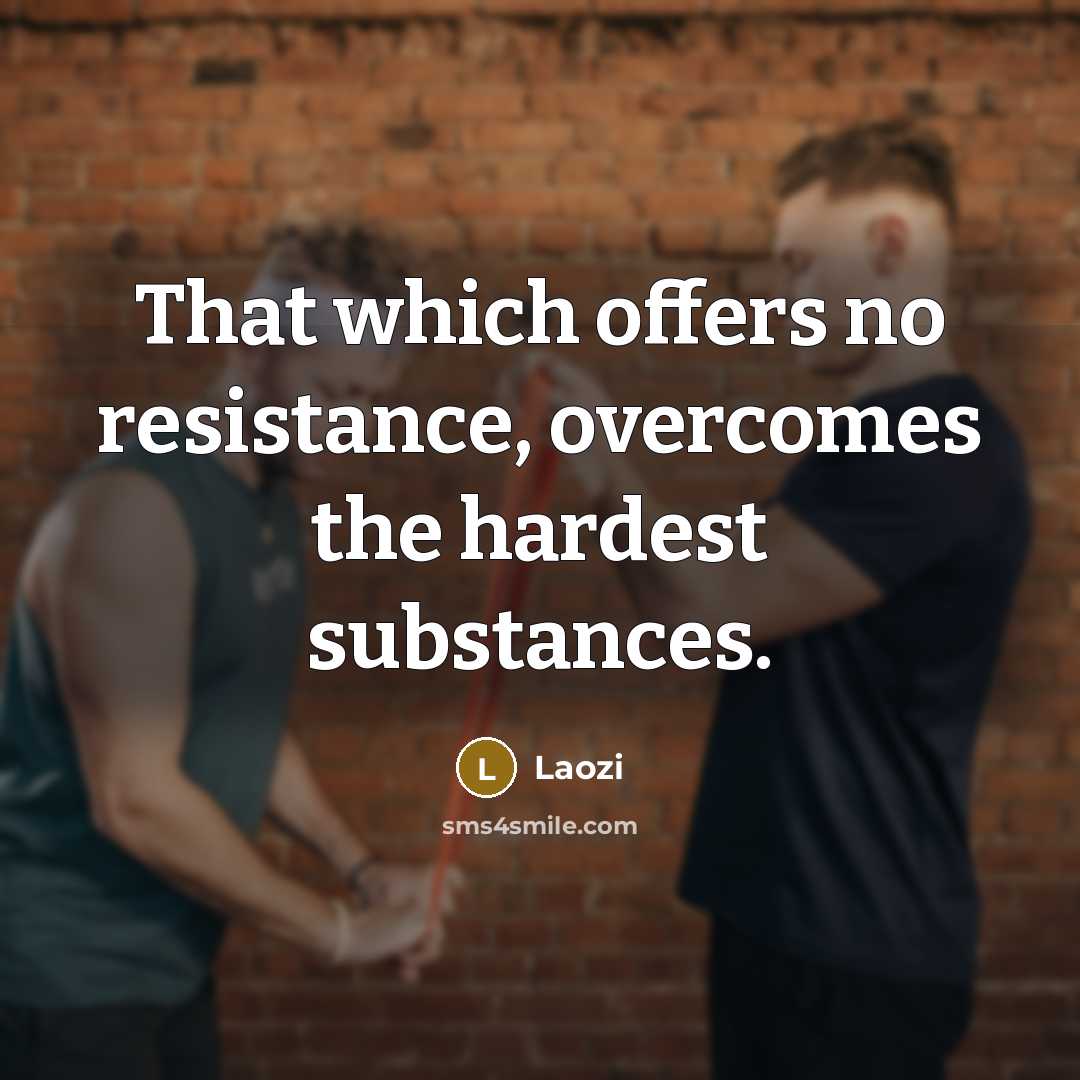 “That which offers no resistance, overcomes the hardest substances.…” quote by Laozi
