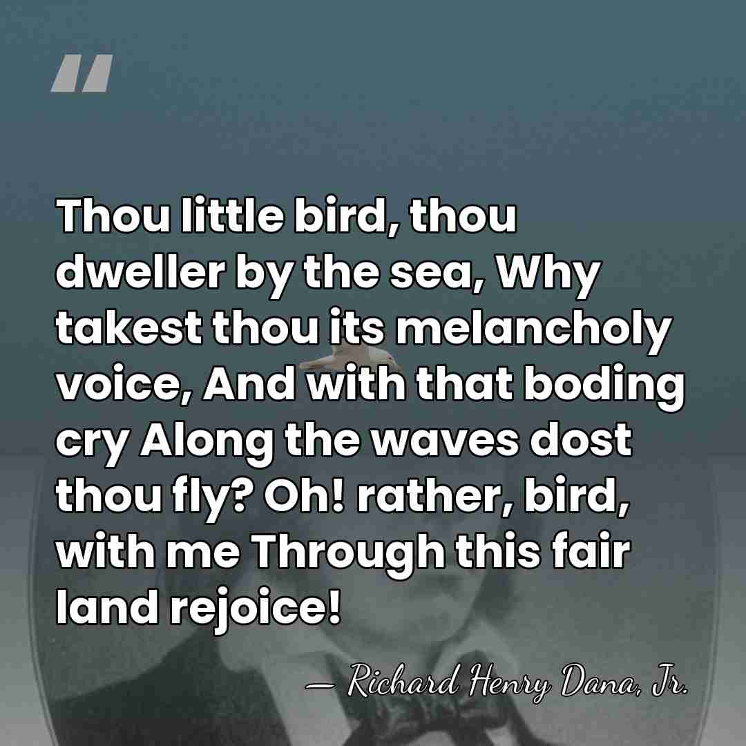 Thou little bird, thou dweller by the sea, Why takest thou its&hellip; - Richard Henry Dana, Jr.
