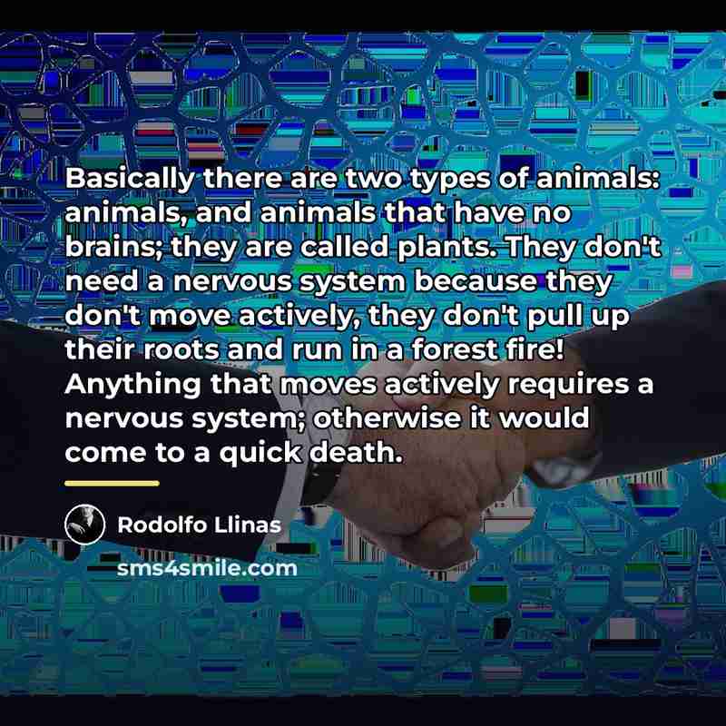 “Basically there are two types of animals: animals, and animals…” quote by Rodolfo Llinas
