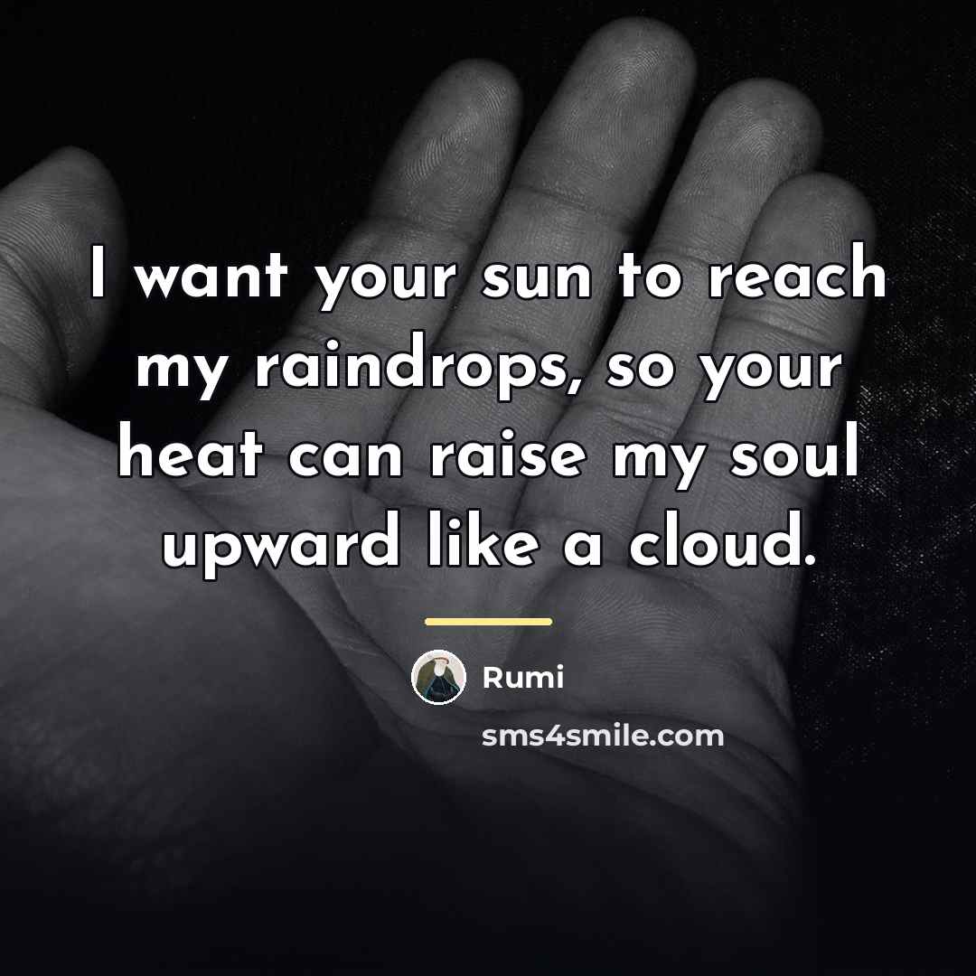 “I want your sun to reach my raindrops, so your…” quote by Rumi