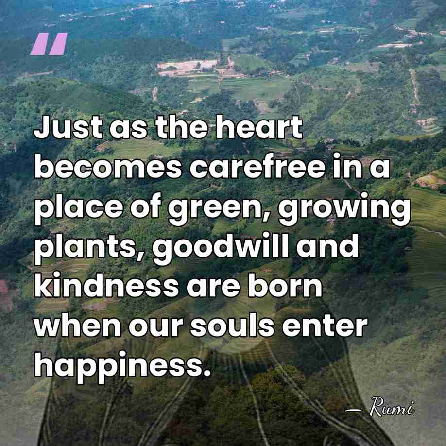 Just as the heart becomes carefree in a place of green, growing&hellip; - Rumi