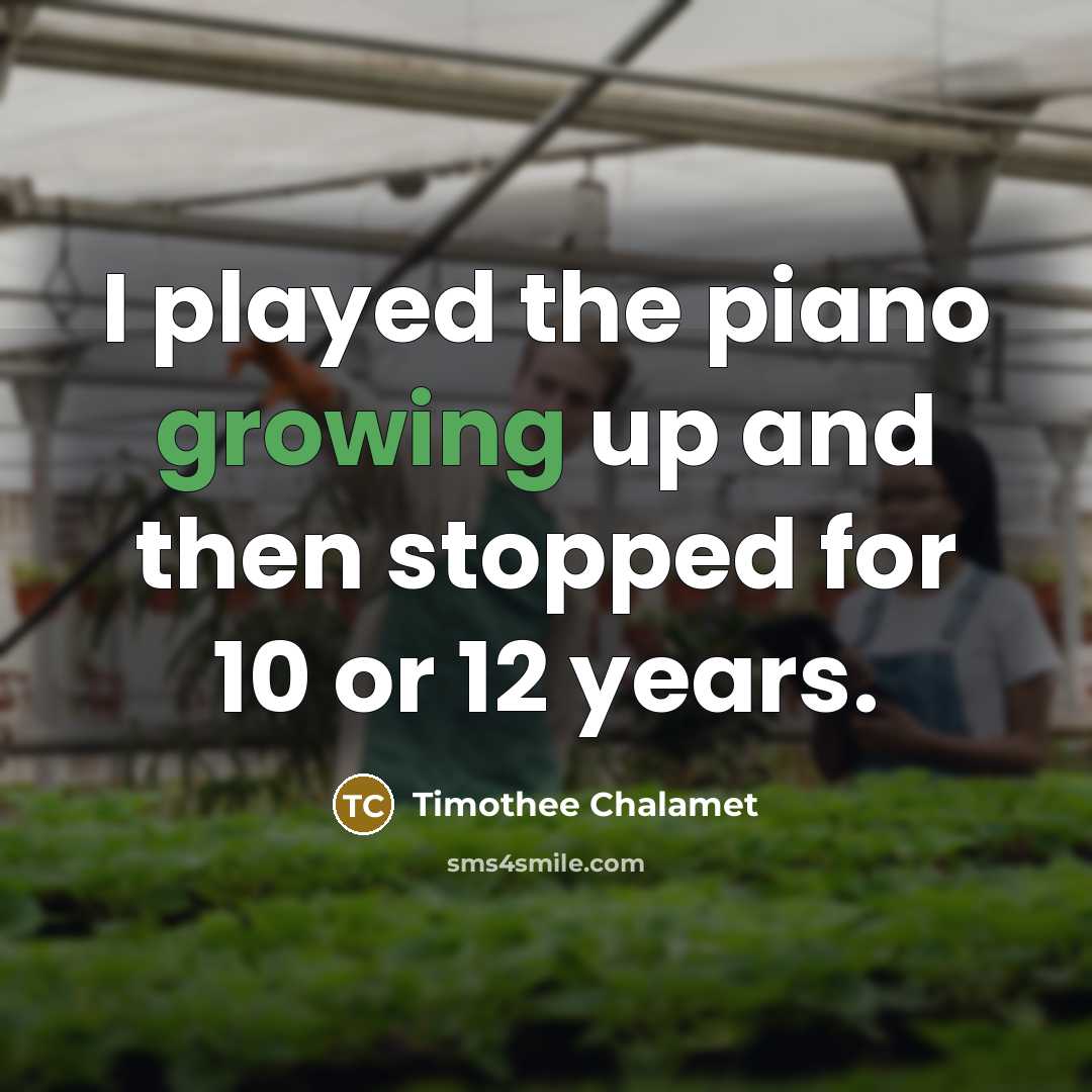 “I played the piano growing up and then stopped for…” quote by Timothee Chalamet